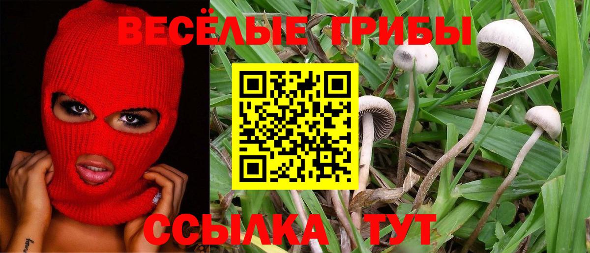 Менделеевск  Галлюциногенные грибы мухоморы  Вход с VPN  Псилоцибиновые грибы Cubensis 